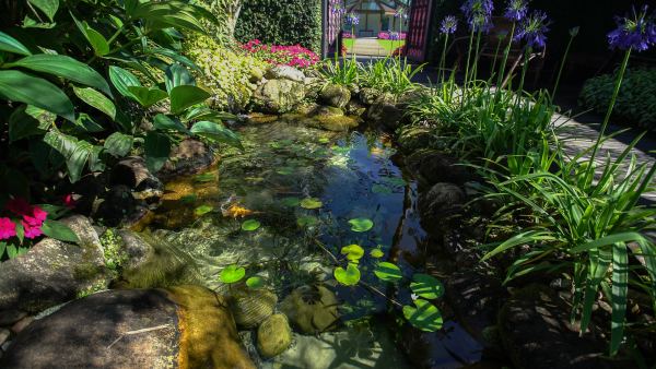 Quais as vantagens do filtro biológico no nível do lago?