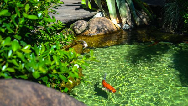 Como construir um deck ou uma ponte sobre o lago?