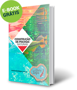 Aprenda a construir piscinas naturais